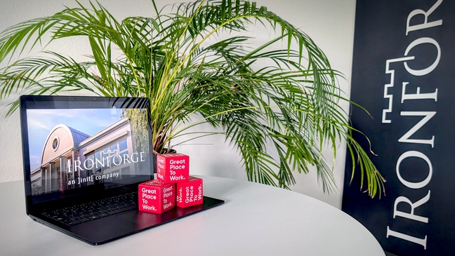Bild mit Laptop, Pflanze und roten Würfeln