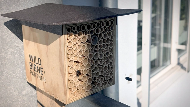 Bienenhotel mit zwei Bienen