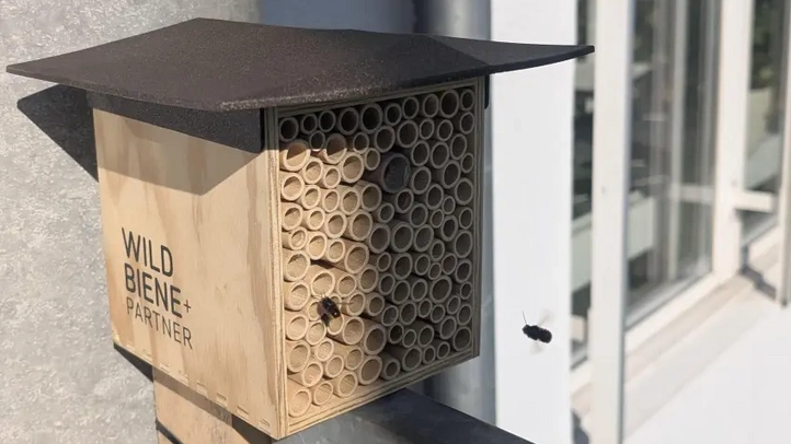 Bienenhotel der Ironforge