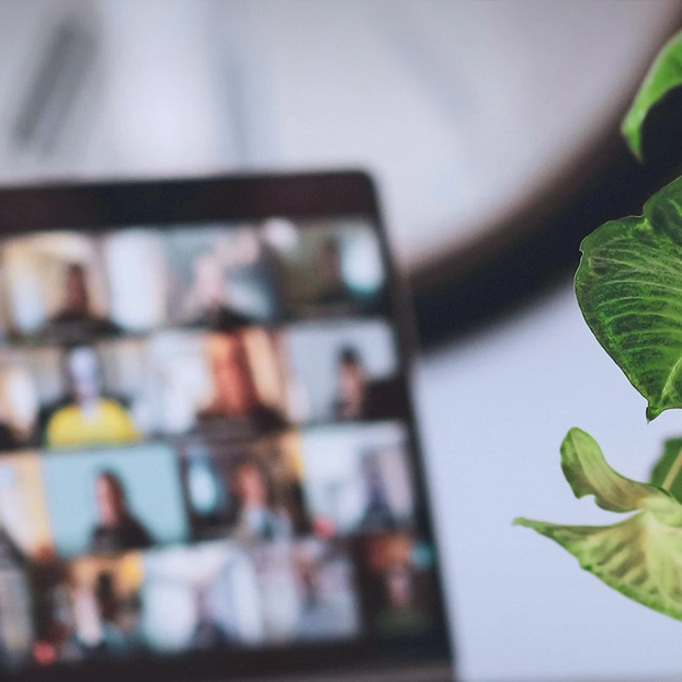 Videocall und Pflanze