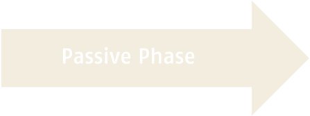 Pfeil: Passive Phase transparent